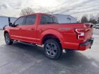 Thumbnail Photo 29 for 2020 Ford F150